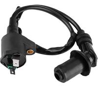 Alrens Motorcycle Spark Coil Ignition Coil 50cc Ignition Coil Spark Plug High Voltage Ignition Wire for GY6 Engine 169cc Dirtbike 125cc Moped dirtbike