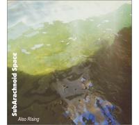 Also Rising by Subarachnoid Space
