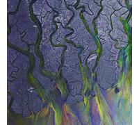 alt-J An Awesome Wave (CD)