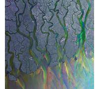 Alt-J - An Awesome Wave