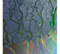 alt-J - An Awesome Wave