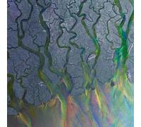 ALT-J - AN AWESOME WAVE CD NEW