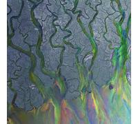 alt-J An Awesome Wave Vinyl LP New Sealed
