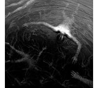 Altarage - The Approaching Roar