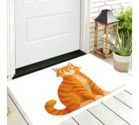 ALTCIRNMD Door Mat 70X100Cm,3D Orange Color Cute Cat Doormats Entrance,Welcome Outdoor Indoor,Cartoon Animals For Front & Back Door,Absorbent Quick Dry Bathroom Kitchen Doormats
