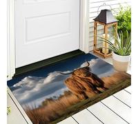 ALTCIRNMD Door Mat 70X100Cm,3D Yellow Highland Cattle Doormats Entrance,Welcome Outdoor Indoor,Wild Animals For Front & Back Door,Absorbent Quick Dry Bathroom Kitchen Doormats