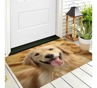 ALTCIRNMD Gold Cute Golden Retriever Front Door Mat Outside Inside Entrance,3D Print Happy Animals Outdoor Indoor Entry Front Doormat Classroom Patio Garage Shoes Off Mat,80X120Cm