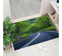 ALTCIRNMD Ink-Splattered Fox Welcome Mats, 60X90Cm, Street Graffiti Style Indoor Carpet, Non-Slip Washable Floor Mat For Doorways, Stairs, Game Rooms, Living Rooms, Rainbow Colors