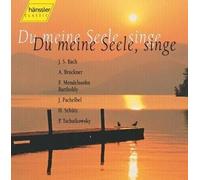 Altensteiger - Du Meine Seele, Singe