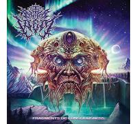 ALTER IDEM - Fragments Of Consciousness