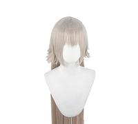 Alter Jeanne d'Arc Wig Game FGO Cosplay Wig Gray Version Fate Grand Order Cosplay Hair Alter Jeanne d'Arc Women Hair