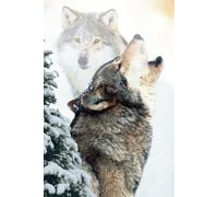 Alterhuman - Howling Grey Wolf in the Winter Scenery: Notebook Designed for Wolf Lovers | Ruled Journal for Writing and Drawing | Lined Daily Notes | Winter Theme Cover