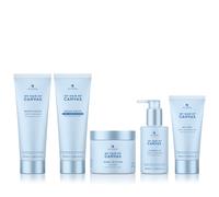 Alterna My Hair. My Canvas. Begin Again Curl Pack