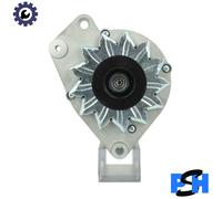 BV PSH 205.010.065.010 Alternator