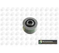 Alternator Freewheel Clutch Fits Citroen DS Fiat Ford Lancia BGA DC1412