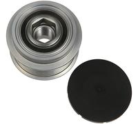 Alternator Freewheel Pulley fits Land Rover Discovery V 6-Groove OAP APN2420