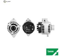 LUCAS LRA02809 Alternator