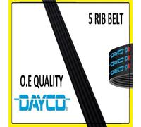 5PK1352 GENUINE DAYCO ALTERNATOR FAN DRIVE Auxiliary flat or v BELT