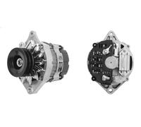 Alternator with double pulley MG 530 MAHLE