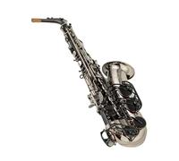 Alto E flat Saxophone Brass Instrument Black Silver Paint With Case and Mouthpiece Beginner Saxophone