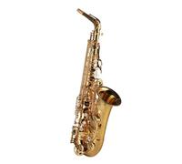 Alto E-flat Saxophone Musical Instrument Antique Frosted Universal For Beginners Musical Instrument (Color : Electrophoresis gold)