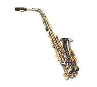 Alto Eb Tune Brass Saxophone Black Nickel Plated Body Gold Lacquer Key Saxophone E Flat Musical Instrument With Case