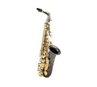 Alto Eb Tune Saxophone Brass Black Nickel Gold Surface Lacquer Music Instrument E-Flat Sax (Color : 02)