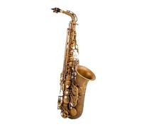 Alto Eb Tune Saxophone Brass Bronzing Music Instrument E-flat Sax With Case Accessories (Color : 01)