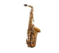 Alto Eb Tune Saxophone Brass Bronzing Music Instrument E-flat Sax With Case Accessories (Color : 02)