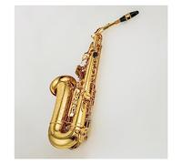 Alto Eb Tune Saxophone Brass Gold Lacquer Music Instrument E-Flat Sax With Case And Accessories Saxophone for Student