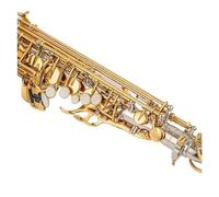 Alto Eb Tune Saxophone Brass Musical Instrument Gold Lacquer Sax With Case Mouthpiece