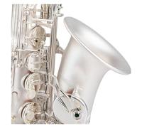 Alto Eb Tune Saxophone Brass Silver Plated Sax E Flat Musical Instrument With Case Mouthpiece