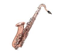 Alto Sax Professional Brass Instrument Red Bronze Beginner Saxophone