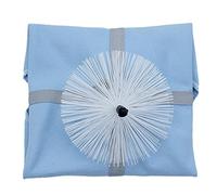 Alto Sax Pull Through,Alto Sax Brush,Alto Sax Barrel Brush,Alto Sax Cleaning Brush Pull Through Cloth Sax Saxophone Cleaning Cloth, Saxophone Sax Swab Cleaning Cloth Kit Tool