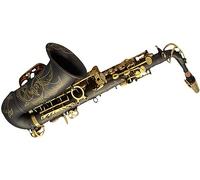 Alto Saxophone Beginner Kit for Adults, E-flat Brass Instrument with Matte Black Nickel Plated Finish and Gold Key