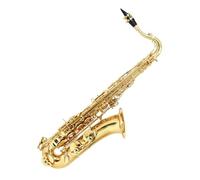 Alto Saxophone Brass Body C Key Woodwind Instruments