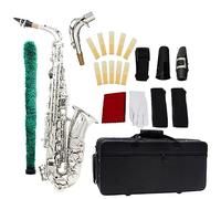 Alto Saxophone Brass Body Carved Silver Eb Saxophone Instrument With Gloves Reed Saxophone for Student