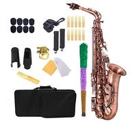 Alto Saxophone Brass E Flat Sax Woodwind Instrument With Gloves Case And Other Accessories Saxophone for Student (Color : 01)