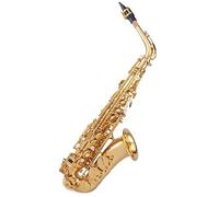 Alto Saxophone Brass Lacquered Gold E Flat Sax BE Key Woodwind Instrument With Full Accessories Saxophone for Student