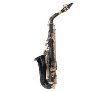 Alto Saxophone, Brass Tube Eb Alto Sax Complete Kit for Professional Beginner WSS896B, Flat Saxophone for Beginner Students Brass Sax Full Kit w Travel Bag Mouthpiece, Golden