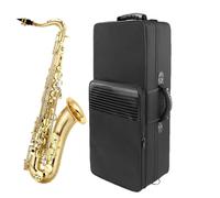 Alto Saxophone Case - 61.5cm 600D Canvas Soft Padded Saxophone Case, Lightweight Backpack, Durable Foam Lining | Multipurpose Carrying Bag For Protection Of The