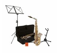Alto Saxophone Complete Package Nickel & Gold