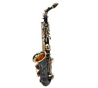 Alto Saxophone E Flat B Kit with D Electrophoresis - Complete Saxophone Set for Beginners and Profession - Sax Accessories for Music Lovers (Black)