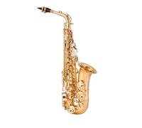 Alto Saxophone E Flat Brass Sax Professional Woodwind Instruments With Case Neck Mouthpiece Accessories (Color : 01)