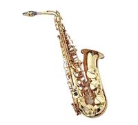 Alto Saxophone Eb Copper Simulation Alto Sax Professional Playing Woodwind Instrument With Mouthpiece (Color : 02)