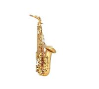 Alto Saxophone Eb Tune Brass Lacquer Metal Musical Instruments Professional With Case Mouthpiece (Color : 01)