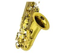 Alto Saxophone Eb Tune Brass Music Instrument Gold Lacquer Surface E-flat Sax With Case Accessories (Color : Canvas Case)