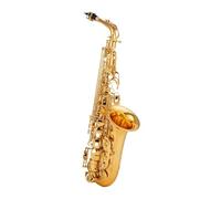 Alto Saxophone Gold Key Professional Sax Mouthpiece With Case And Accessories (Color : 02)