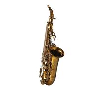 Alto Saxophone Instrument In E Flat For Beginners To Play The Saxophone Instrument Professionally