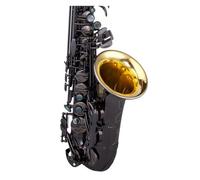 Alto Saxophone Large Trumpet Adult Professional Playing E Flat Instrument (Color : 03)